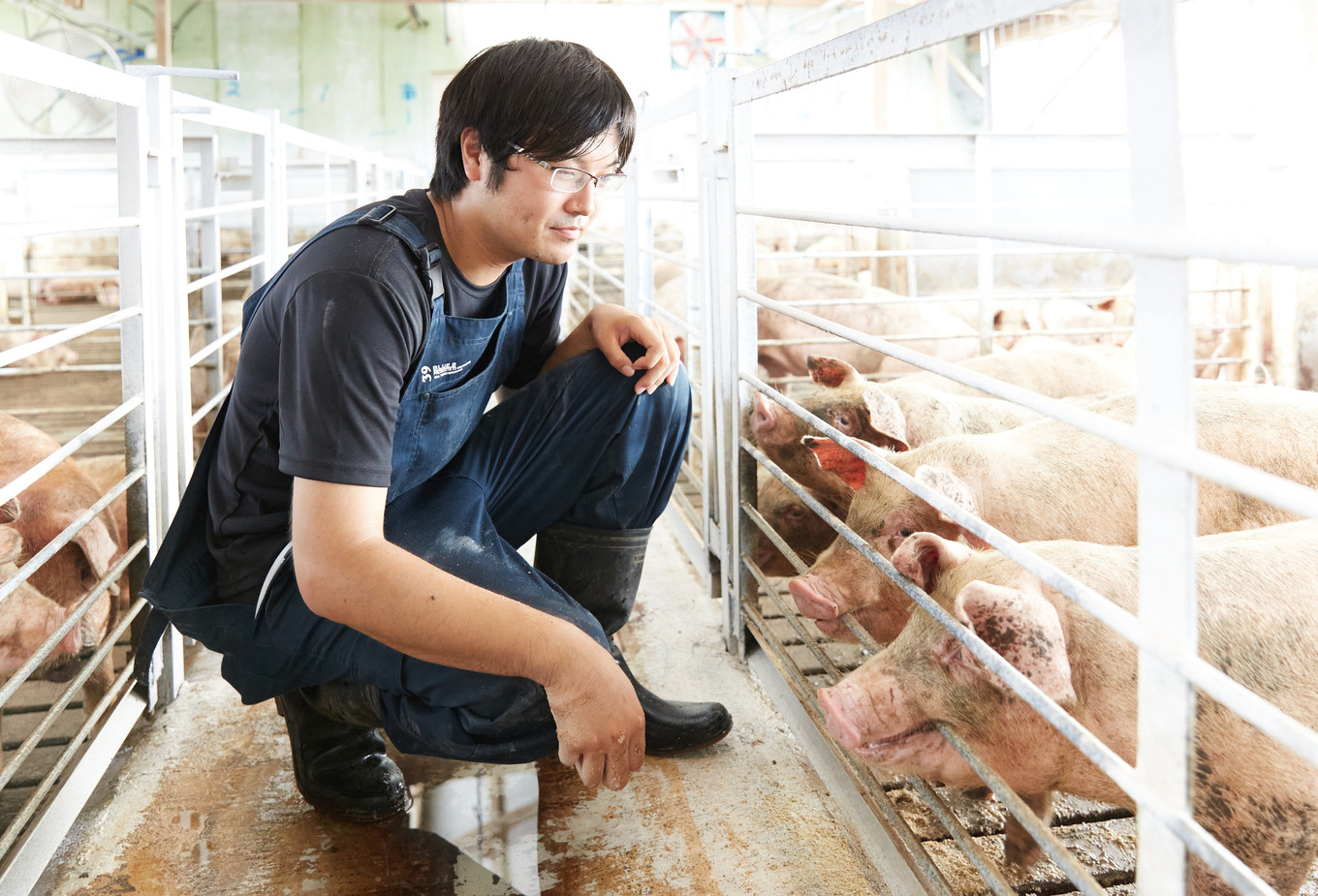 【選べる切り方】ええやんさくらポーク 小林ファーム 豚肉 ロース 2kg /亀山市/小林ファーム [AMAB057] / 豚肉 ぶたにく 豚にく 三元豚 肉 ロース 豚肉 しゃぶしゃぶ カツ 焼肉 ステーキ 鍋 とんかつ トンカツ ソテー ローストポーク 