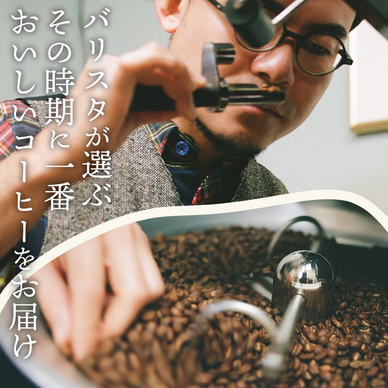 《粉》バリスタおすすめのコーヒー 250g×2種類 計500g_M200-005_01_p