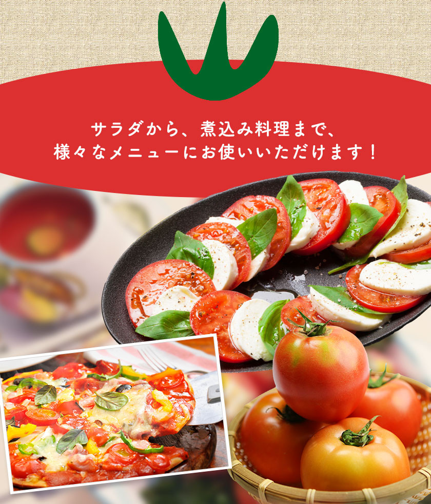 トマト 2種の詰め合わせセット 約4kg 花田農園《6月上旬-7月末頃出荷(土日祝除く)》とまと トマト 夏 野菜 夏野菜