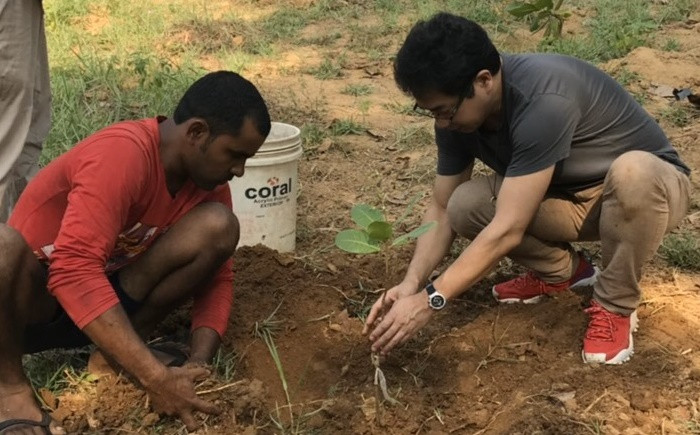 ＜栄養満点！＞  無塩 生クルミ 中パック 400g【多々楽達屋】くるみ たたらちや tataratiya[MAD020]