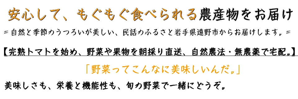 無農薬の完熟トマト 1.5kg 11玉前後 自然農法 農家直送 遠野もぐもぐカントリー 岩手県 遠野市【2026年7月25日以降発送】