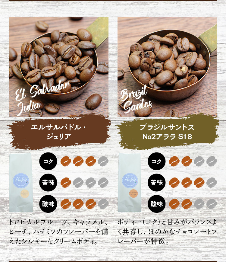 【細挽き】店主おまかせ 挽き立てコーヒー豆3種類セット(100g×3種類）【hgo003-a】
