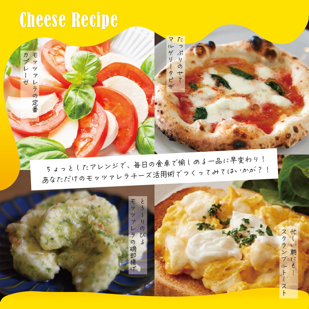 【6ヵ月定期便】明治北海道十勝チーズ 生モッツァレラ６個 セット 計6回 me003-070-t6c
／おつまみ 冷蔵便 詰め合わせ チーズ cheese CHEESE 乳製品 生乳 凝縮 ミルク 新鮮 パック お取り寄せ サラダ カプレーゼ ピザ トースト