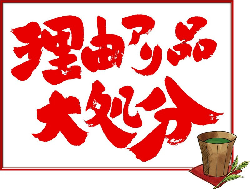 訳あり エコ袋 緑茶ティーバッグ 8g50個入2袋(100個) 水出し お湯出 静岡県掛川産100%_緑茶 ティーバッグ 訳あり お茶 茶 煎茶 日本茶 おちゃ 水出し お湯出し 静岡県産 静岡県 掛川市 飲料 ドリンク 送料無料【1294587】