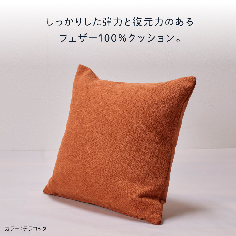blocco フェザー100％ クッション [55cm×55cm/ブラック]