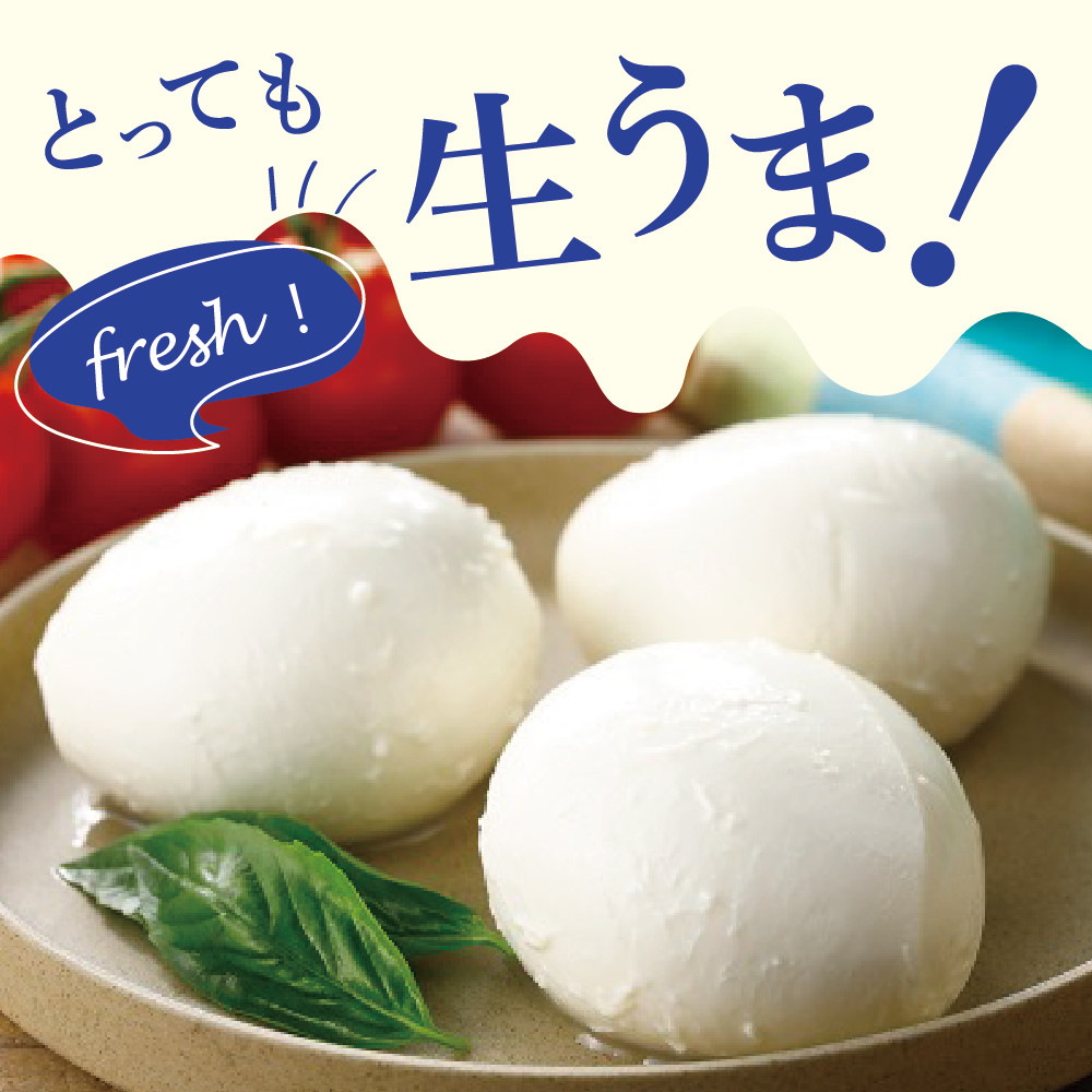 【6ヵ月定期便】明治北海道十勝チーズ 生モッツァレラ６個 セット 計6回 me003-070-t6c
／おつまみ 冷蔵便 詰め合わせ チーズ cheese CHEESE 乳製品 生乳 凝縮 ミルク 新鮮 パック お取り寄せ サラダ カプレーゼ ピザ トースト