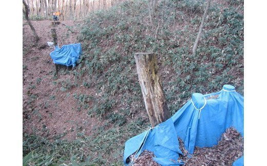 安全で魅力的な自然体験活動のための施設設備充実事業（所報へのご芳名記載、お礼状送付）（返礼品なし） F2Y-9481