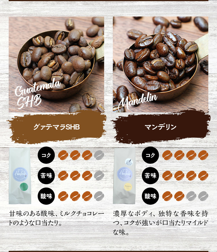 【細挽き】店主おまかせ 挽き立てコーヒー豆3種類セット(100g×3種類）【hgo003-a】