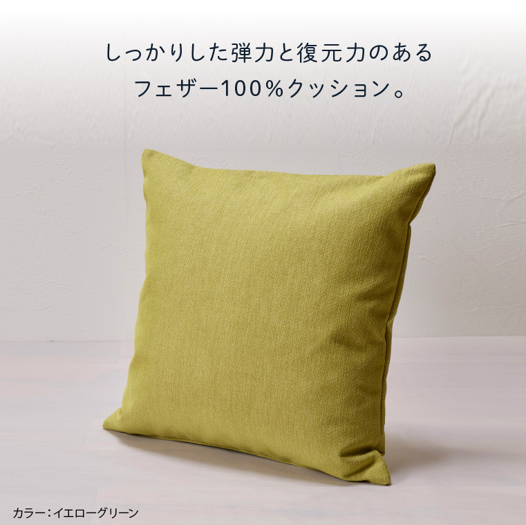 blocco フェザー100％ クッション [48cm×48cm/グレー]
