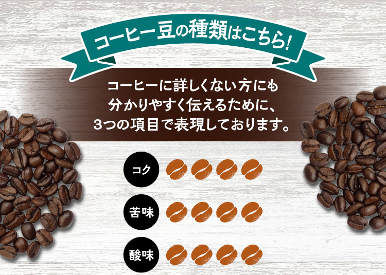 【細挽き】店主おまかせ 挽き立てコーヒー豆3種類セット(100g×3種類）【hgo003-a】