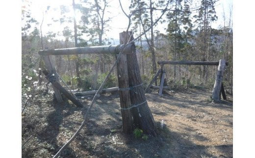 安全で魅力的な自然体験活動のための施設設備充実事業（所報へのご芳名記載、お礼状送付）（返礼品なし） F2Y-9481