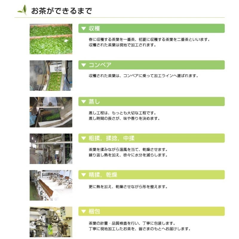 希少な香川のお茶【高瀬銘茶・茶の里(ちゃのさと)】煎茶100g×7袋