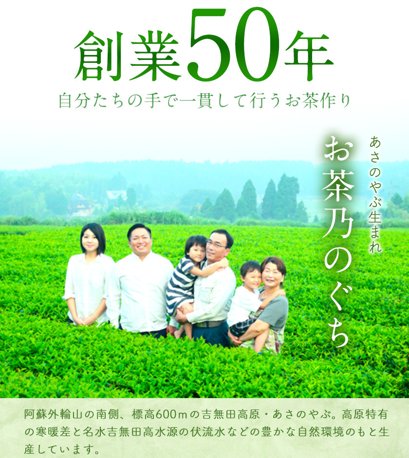 熊本県御船町産茶葉使用 熊本ご当地 ちゃばこ チャバコ Chabacco 4箱入り お茶乃のぐち《30日以内に出荷予定(土日祝除く)》 お茶 茶 煎茶 玉緑茶 釜炒り茶