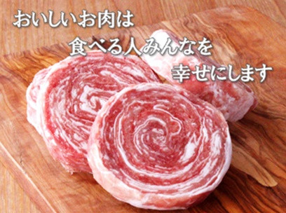 E226 《定期便》【元祖!テレビで紹介多数】ロールステーキ食べ比べセット【3ヵ月お届け】/長崎 豊味館