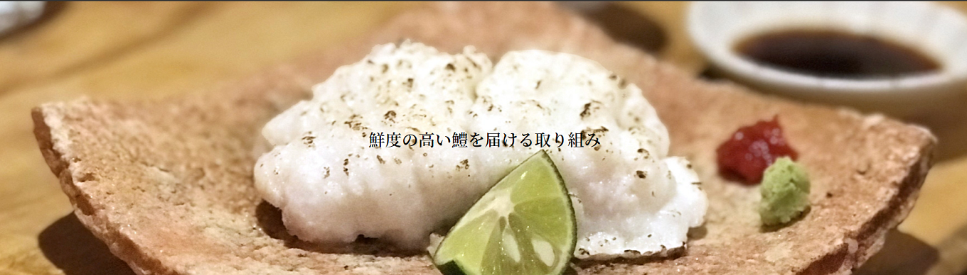 鱧 2～3人前 冷凍 鍋 海鮮鍋 魚 魚介 魚貝 切り身 国産 徳島県産 鱧焼き ※離島への配送不可