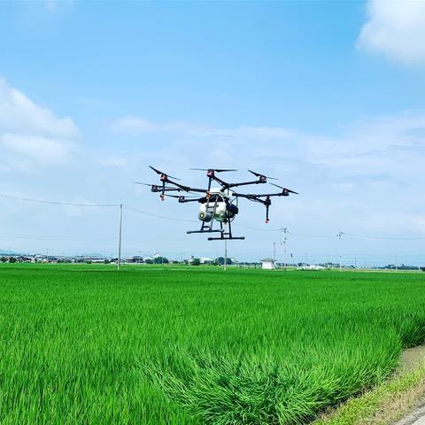 ミルキークイーン 5kg 特別栽培米 令和7年産 新米 米 精米 こめ コメ お米 ご飯 米 ミルキー 5キロ 令和7年 滋賀 彦根