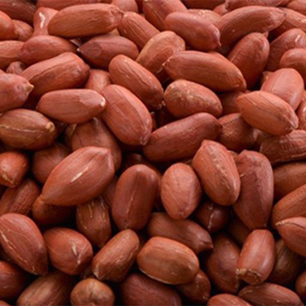 KV002 <木更津で愛されてきた伝統の味>千葉県産【手むき落花生厳選詰合せ】 ふるさと納税 落花生 ピーナッツ ピーナツ おやつ 千葉県 木更津 送料無料