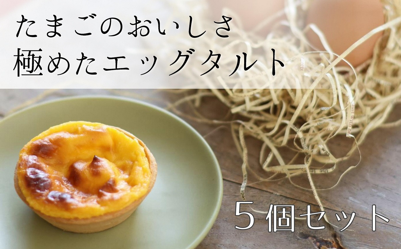 たまごのおいしさを極めた『エッグタルト』５個　たまごやさんのこだわりスイーツ♪【お菓子 洋菓子 デザート スイーツ ピュアエッグ 糸魚川 新潟】