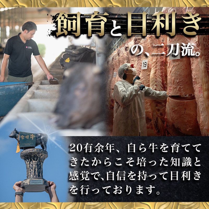 宮崎牛赤身＆霜降り【とろ旨カルビセット】800g_22-6506_(都城市) 牛肉 牛もも焼肉用(500g) 牛肩ロース焼肉用(300g) 合計800グラム 焼き肉用カット 鉄板焼き BBQ 牛モモ肉 霜降り肉 ギフト 贈答用