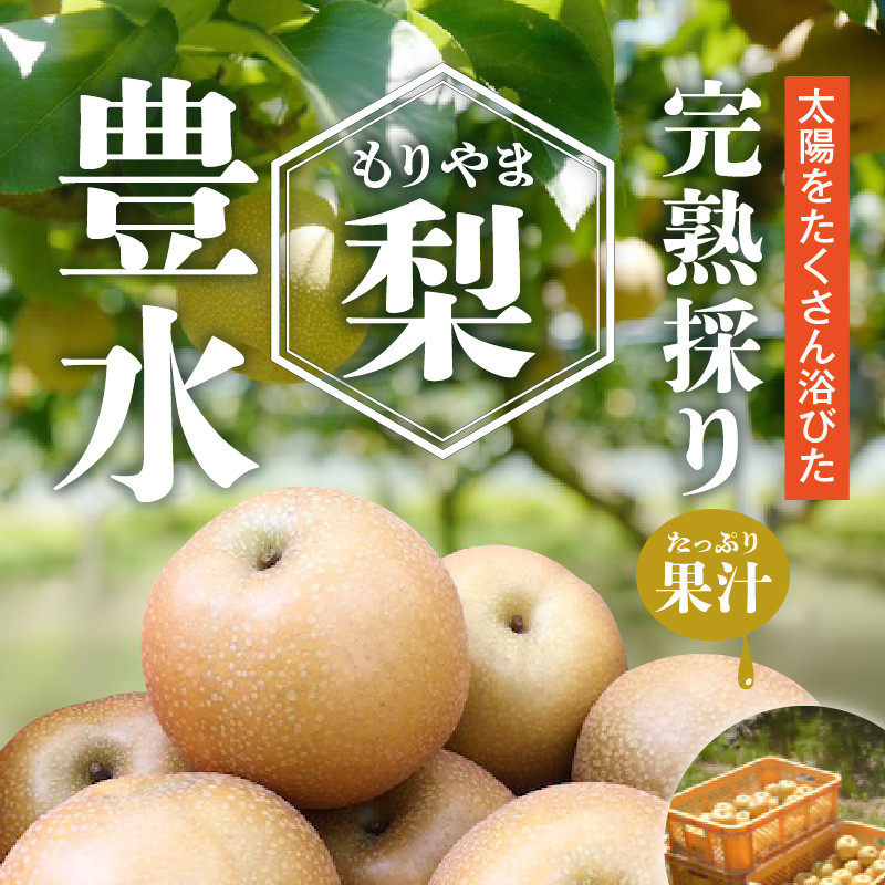 完熟採り　もりやま梨（豊水）５キロ【先行予約】 CW-0003