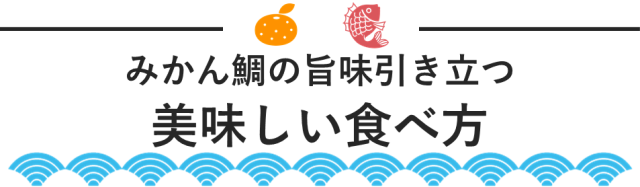 真鯛 みかん 鯛 550 ～ 700g 1尾 刺身 柵 4節 宇和島プロジェクト 人気 マダイ タイ tai 刺身 お刺身 お刺し身 刺し身 さしみ 真空パック フィーレ お手軽 海鮮 鯛めし 鯛茶漬け 鯛しゃぶ 塩焼き 焼き魚 煮付け 煮魚 カルパッチョ 蜜柑 mikan 柑橘 産地直送 愛媛県産 国産 愛媛 宇和島 D022-071004