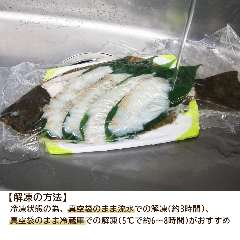 新鮮！ヒラメの姿造り(4~6人前)〈天塩の國〉