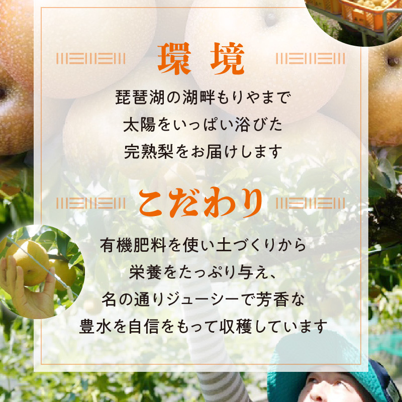 完熟採り　もりやま梨（豊水）５キロ【先行予約】 CW-0003