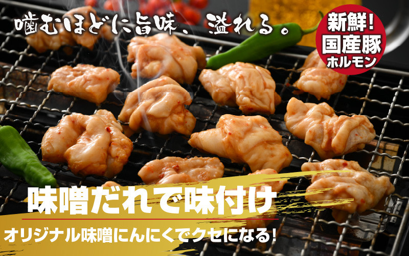 大美のとんちゃん（白）豚ホルモン シロ 味噌ダレ 1kg（500g×2パック）