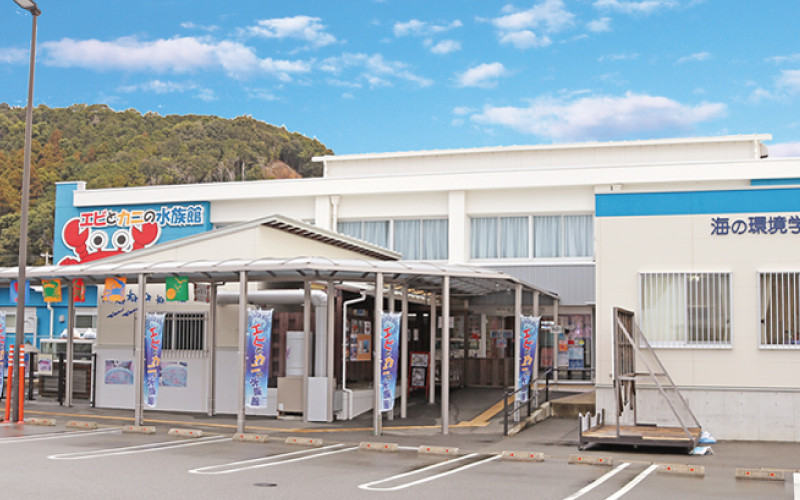 ＼バックヤードツアー付き／　エビとカニの水族館 10名様チケット　【ebk104】