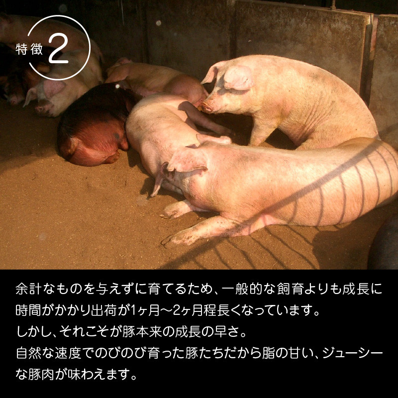 延岡よっとん 上ロースブロック約1kg N003-YB129