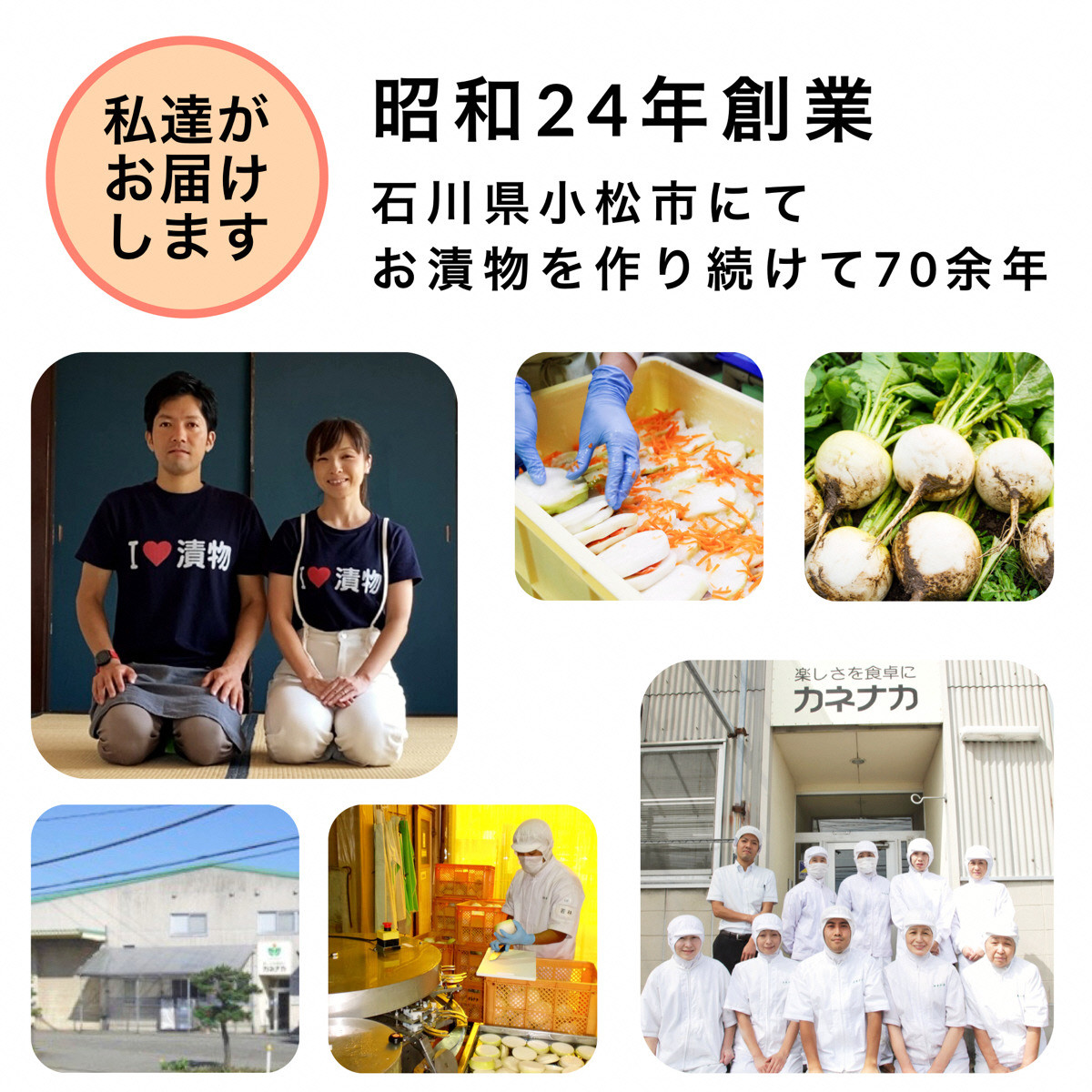 国産ピリ辛らっきょう 10袋 | 石川県 小松市 【カネナカ食品工業】