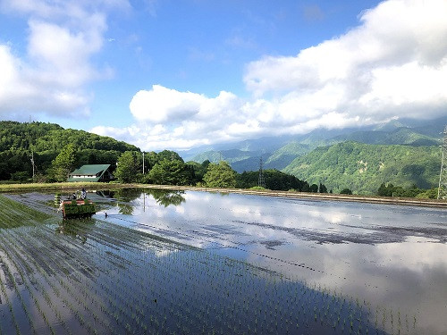 【令和7年度産】長野県小谷村百姓七人衆のあきたこまち【玄米】 10kg