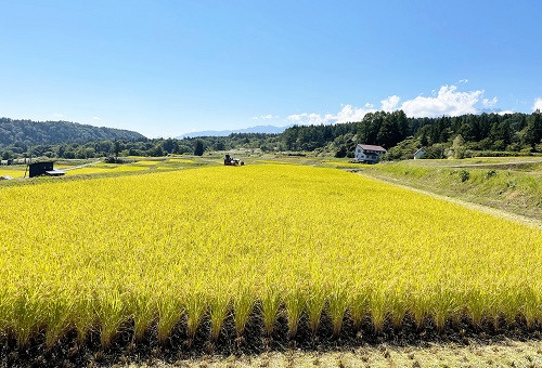 【令和7年度産】長野県小谷村百姓七人衆のあきたこまち【玄米】 10kg
