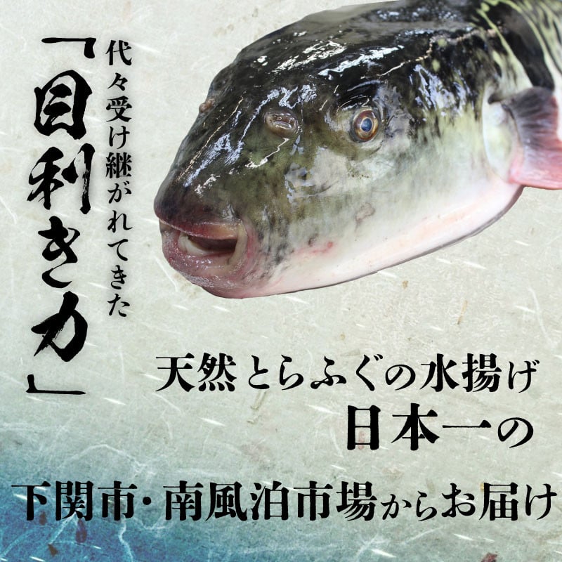 【2026年1月お届け】 ふぐ 刺身 ちり 鍋 セット 3~4人前 冷凍 とらふぐ 刺し  まふぐ ちり てっさ てっちり ( フグ とらふぐ トラフグ 刺身 まふぐ マフグ 真フグ 切身 てっさ てっちり 刺し身 ふぐちり鍋 ふぐ鍋 海鮮鍋 魚介 鮮魚 海鮮 高級魚 冬 父の日) 山口県 下関市