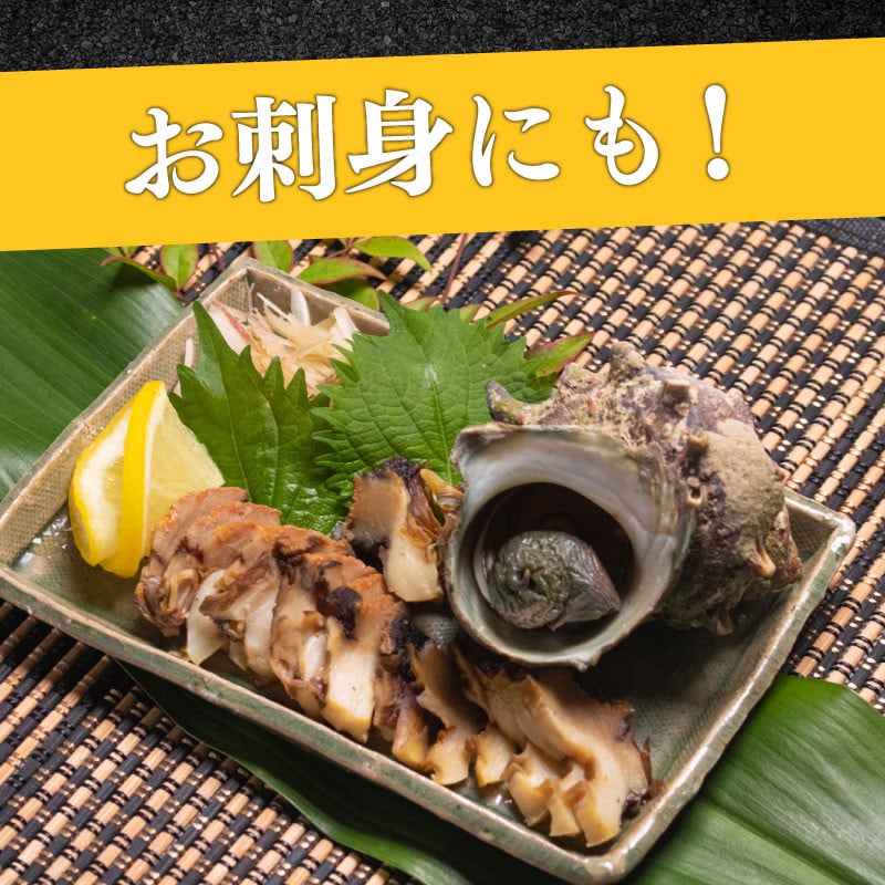 サザエ 約1kg 7～12粒 特大サイズ 刺身 冷凍 スチーム加工 包装 レンジ で チンするだけ 下関 阿川 漁協 コラボ 産地直送 貝