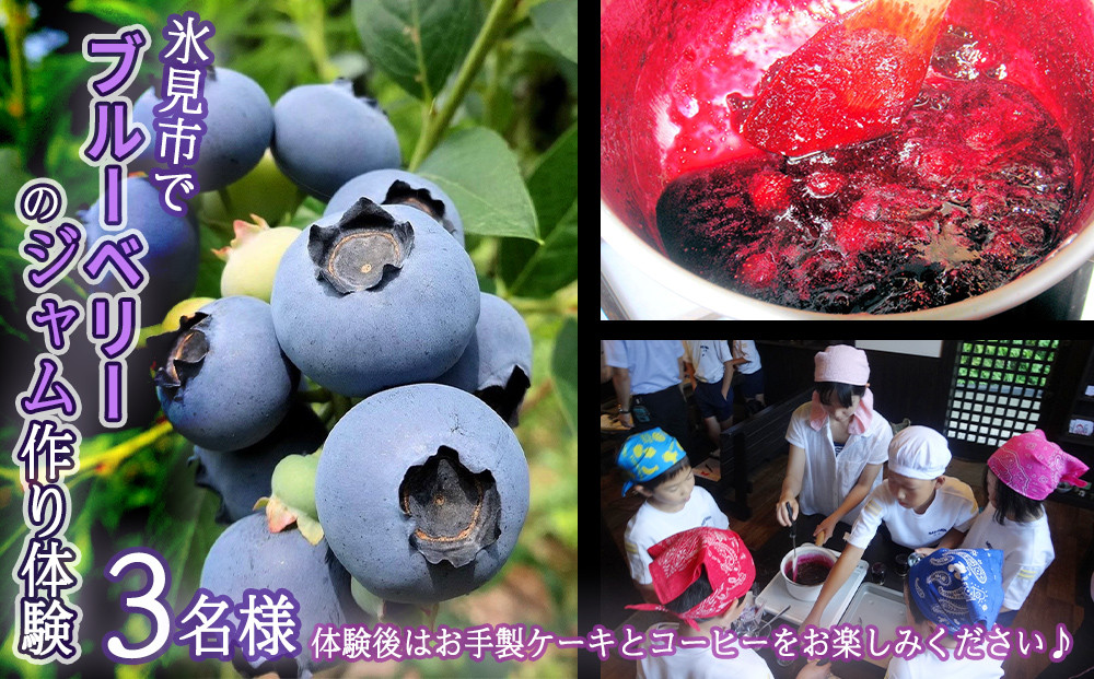 氷見市でブルーベリーのジャム作り体験3名様●ケーキとコーヒー付き 富山県 氷見市 体験 飲食  カフェ