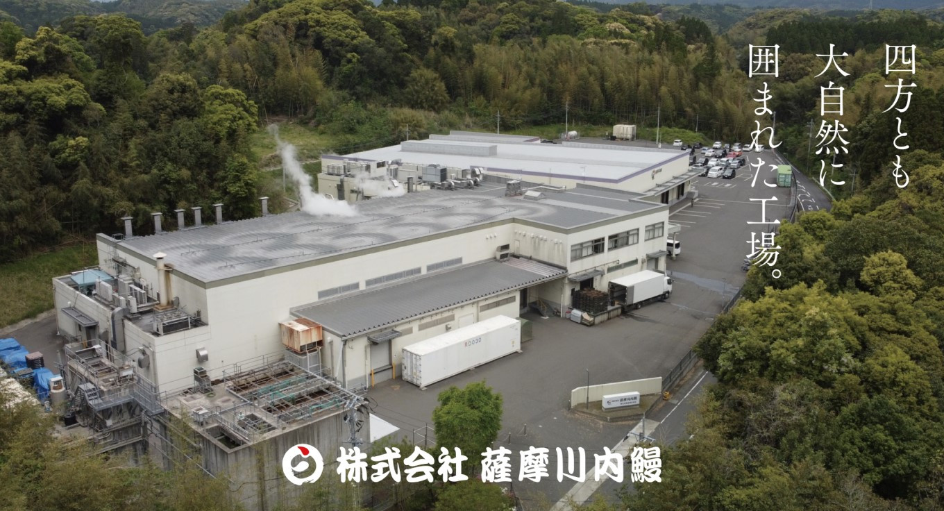 九州産 無頭うなぎ蒲焼 約170g×5尾 計850g 国産 鹿児島 うなぎ 蒲焼 個包装 小分け こだわり 秘伝 タレ DSR-102