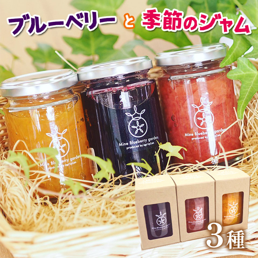 ブルーベリーと山口県の季節のジャム3本セット | フルーツ 果物 果実 ブルーベリー ジャム 無添加 セット 詰め合わせ 山口 美祢 美祢市 特産品 いちご みかん りんご 季節 140g