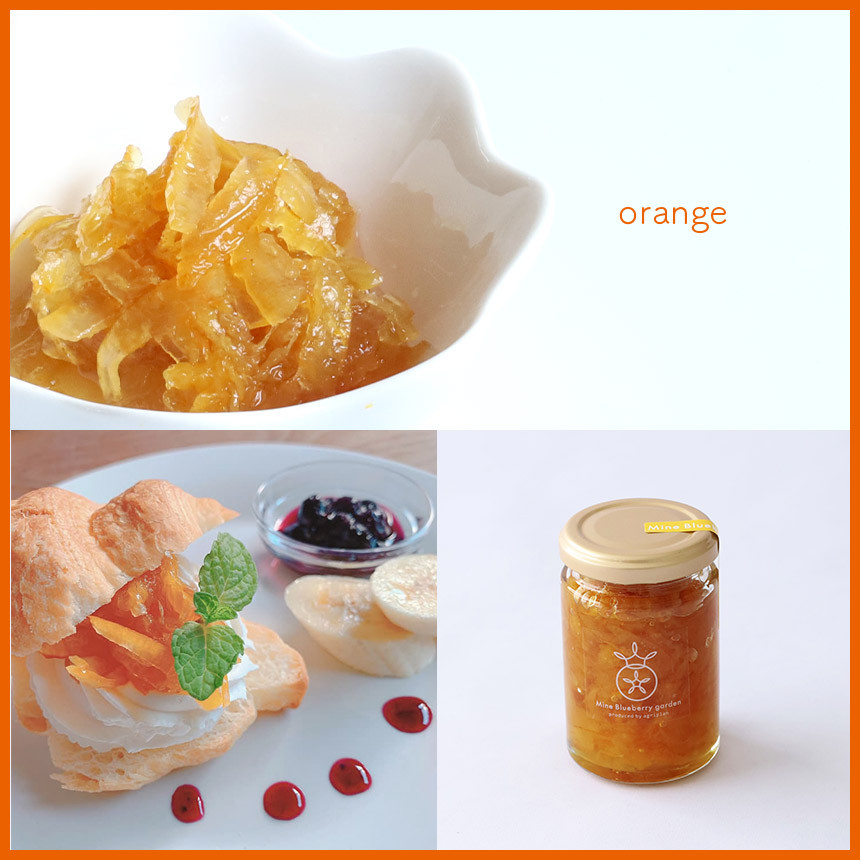 美祢 ブルーベリー と 山口県 の 季節のジャム 4本セット ｜ フルーツ 果物 ブルーベリー ジャム 無添加 果実 季節 セット 詰め合わせ 山口 美祢 特産品 りんご 林檎 いちご 苺 オレンジ みかん ヨーグルト お菓子