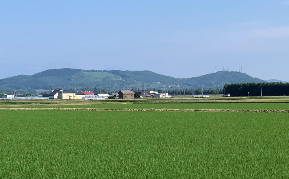 お酒ランキング1位獲得!! 大雪地ビール主力の逸品「大雪ピルスナー」スタイル：ピルスナー330mL×6本セット_00476