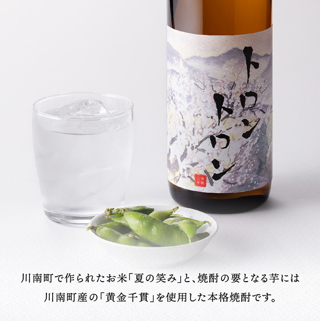 【数量限定】オリジナル本格焼酎「トロントロン(25度)」900ml×2本セット【 お酒 アルコール 酒 焼酎 本科焼酎 アルコール度数25度】