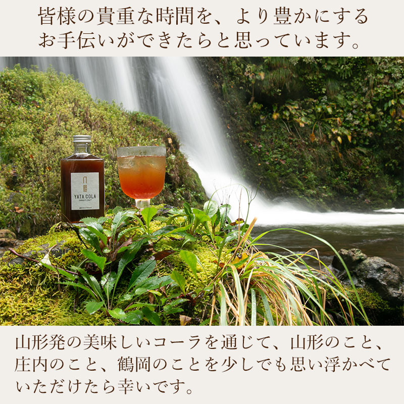 山形発 クラフトコーラ 希釈用 計750ml ギフトセット(375ml × 2本) YamagataCraft YATACOLA 八咫コーラ　ティーズファクトリー