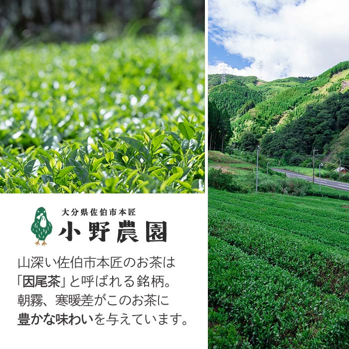原木 乾しいたけ (計210g・70g×3P) 原木栽培 干し椎茸 しいたけ きのこ 出汁 大分県産 大分県 佐伯市 本匠  【ES08】【小野農園】