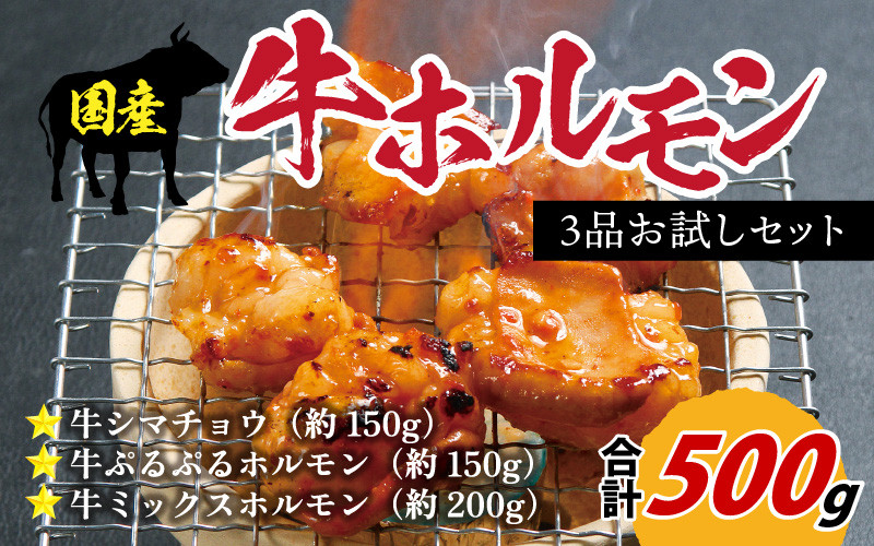 国産牛ホルモン3品 お試しセット 約500g 焼肉  味付け 肉 BBQ バーベキュー もつ ホルモン 国産 小分け おつまみ 冷凍 アウトドア 永平寺町 人気  [B-019001]　