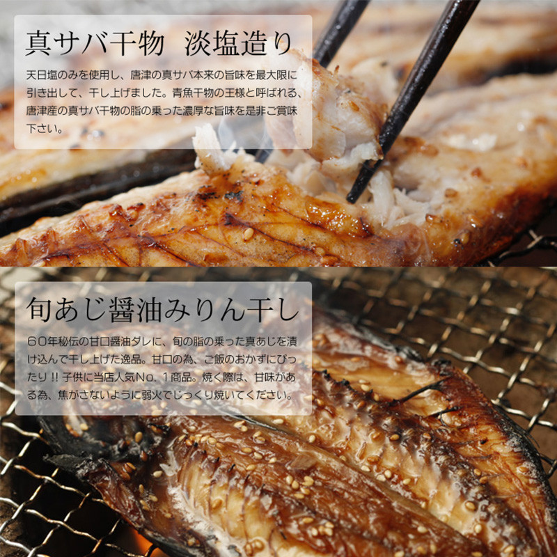 無添加・無着色・手造り 唐津産 『初めての唐津旬の干物5種10尾セット』唐津産真アジ醤油みりん干し、唐津産真サバひもの、唐津産季節の旬の白身魚一夜干し、真イワシ丸干し、トロあじ開き 干物 酒の肴 贈答用