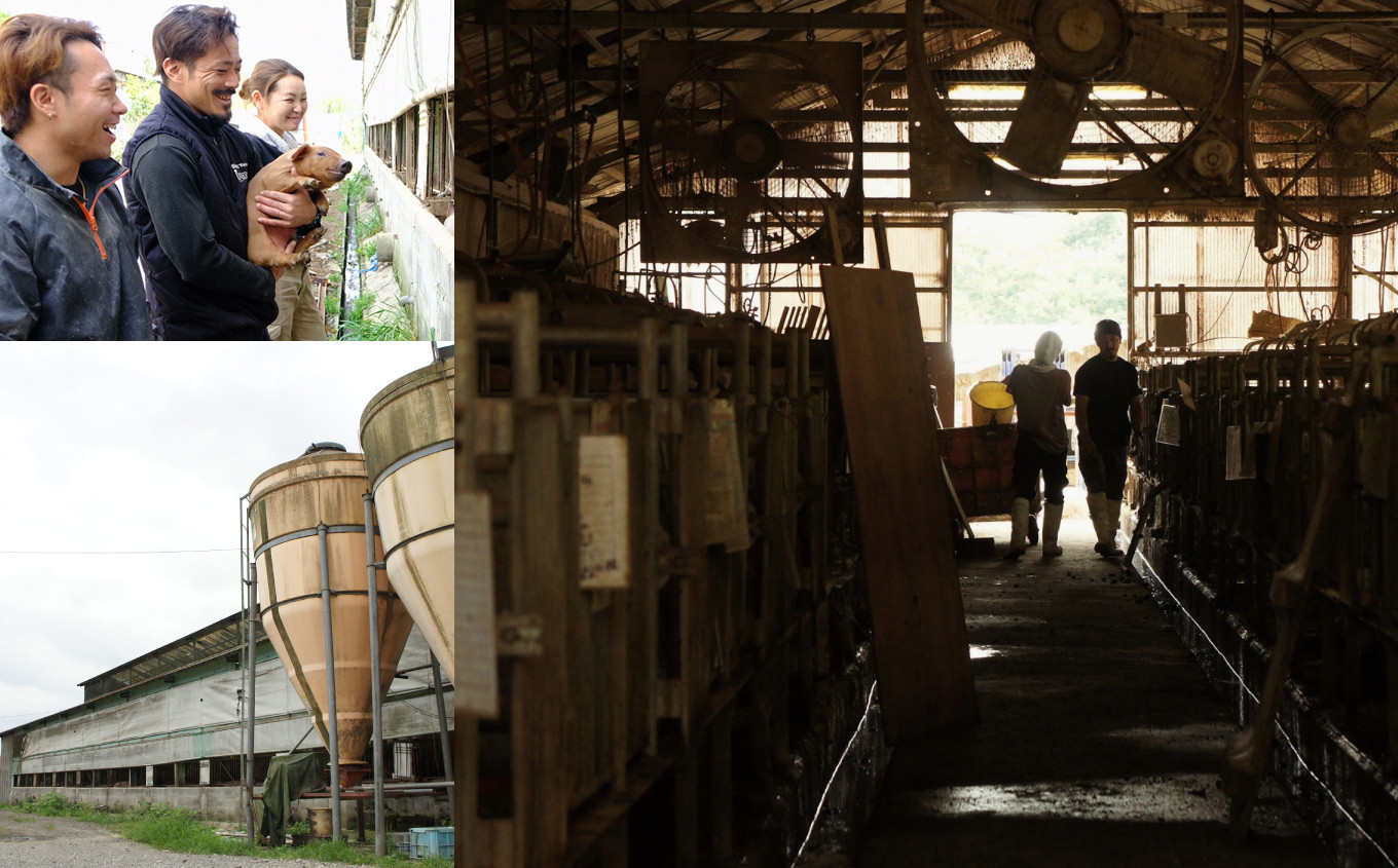 京丹波ぽーく粗挽きステーキ（ざぶとん）ハバネロ味3本セット 京都 京丹波町産 豚肉 オリジナルブランド ※北海道・沖縄は配送不可 [014KT002]