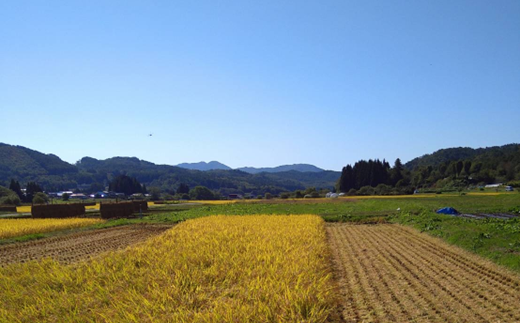 玄米 10kg 【 令和8年産 新米 先行予約 】 米 お米 ひとめぼれ / 新米 岩手県 遠野市 宮守町 達曽部 金取 地区 産 金取ノ米 多田農産 農家直送