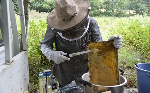 どこか農場のベリー園のはちみつ + 蜜ろう入りキャンドル&クリーム