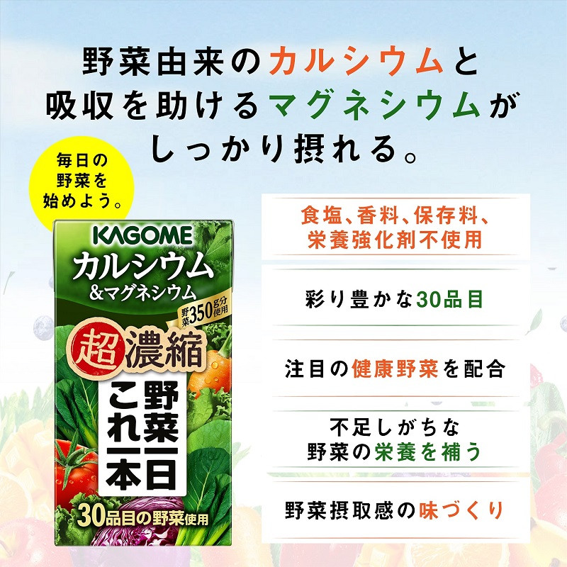 【3ヵ月定期便】カゴメ 野菜一日これ一本 超濃縮 カルシウム＆マグネシウム 125ml 紙パック 24本入 （野菜ジュース）