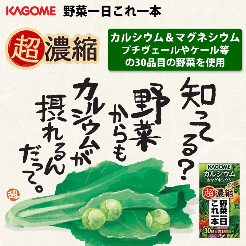 【3ヵ月定期便】カゴメ 野菜一日これ一本 超濃縮 カルシウム＆マグネシウム 125ml 紙パック 24本入 （野菜ジュース）